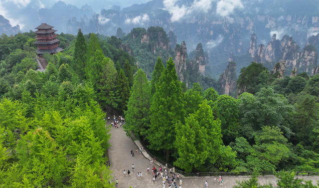 张家界 暑期  旅游  旺季