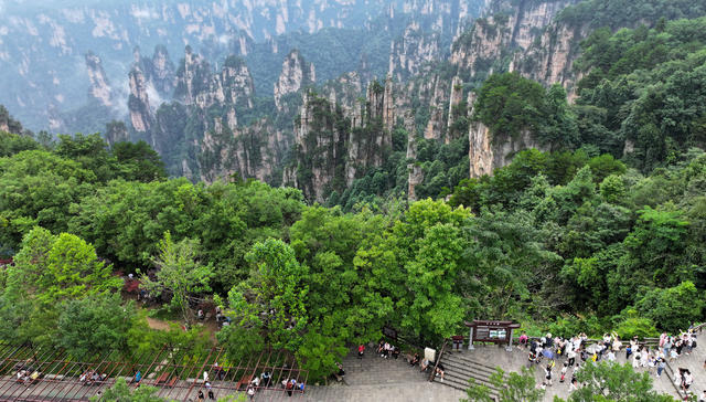 张家界 暑期  旅游  旺季