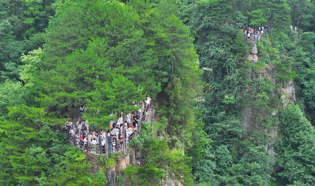 张家界 暑期  旅游  旺季