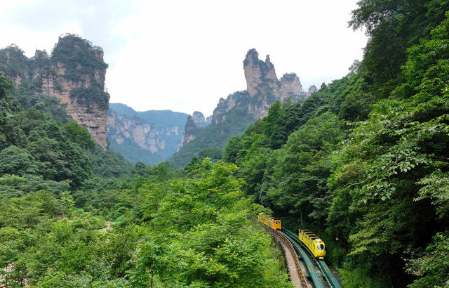 张家界 暑期  旅游  旺季