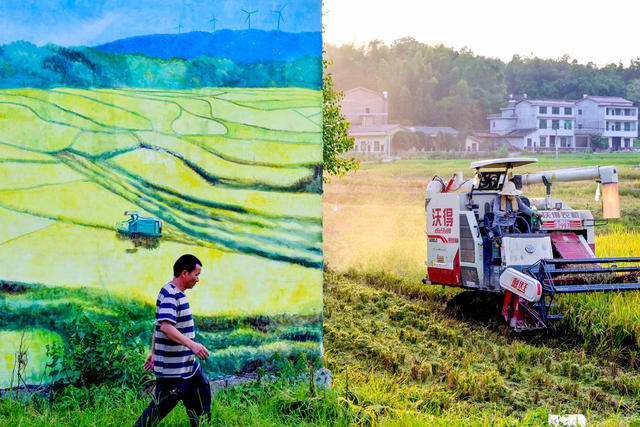 丰收  美丽乡村  环境  墙画