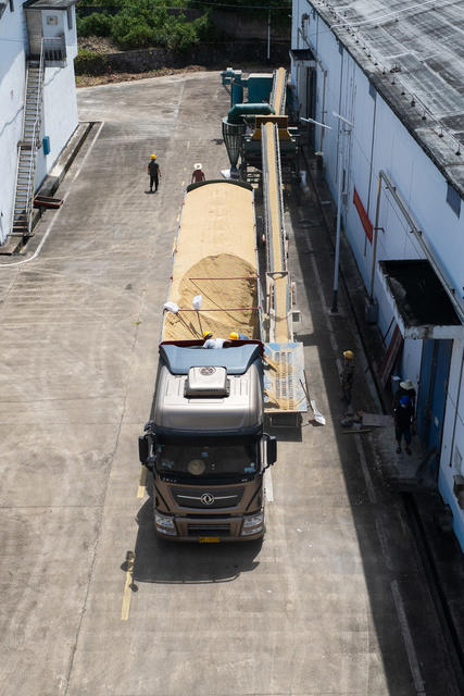 早稻 粮食收购 早稻入库