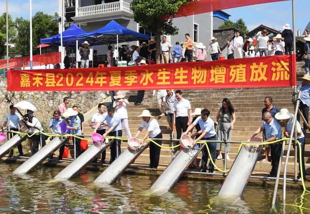 嘉禾：实施增殖放流 改善水域环境