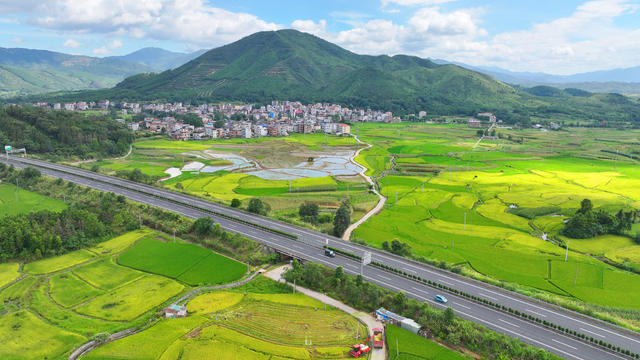 乡村 公路