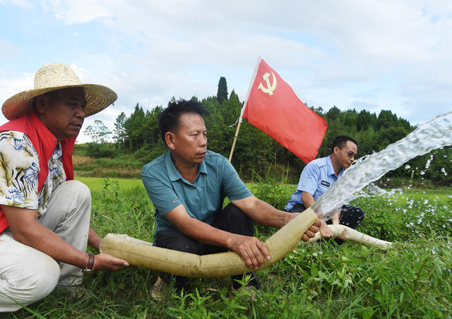 嘉禾：党员助农灌溉忙