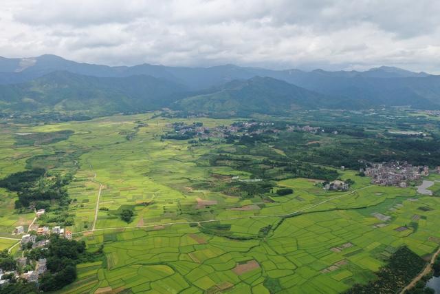 江永 稻谷 示范田 高标准农田建设