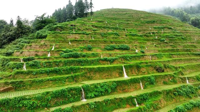 湖南新化 紫鹊界 紫鹊界梯田 梯田 千龙吐水 自流灌溉 稻田 雨后瀑布