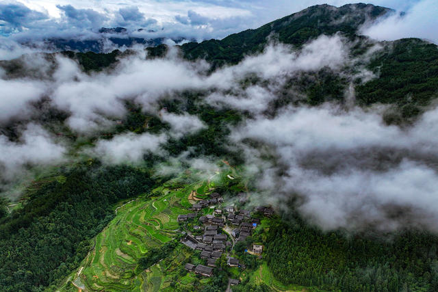 生态 乡村 雾 美丽乡村 绿水青山