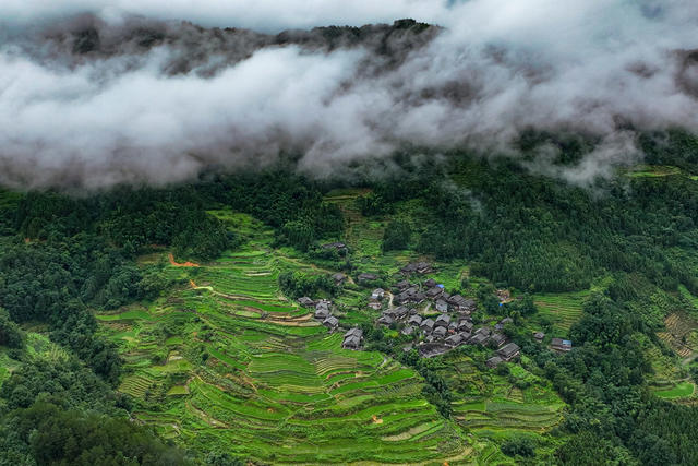 生态 乡村 雾 美丽乡村 绿水青山