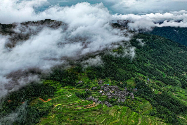 生态 乡村 雾 美丽乡村 绿水青山