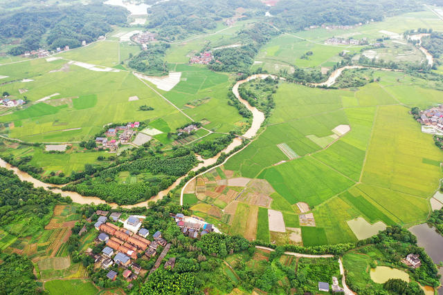 美丽乡村 和美乡村 田园画卷 乡村振兴 农业产业 增收致富