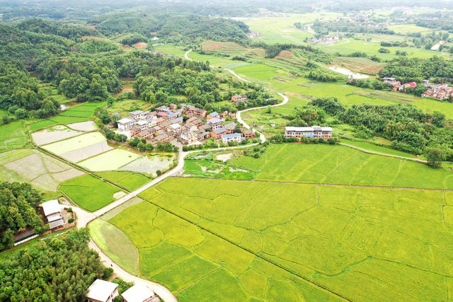 美丽乡村 和美乡村 田园画卷 乡村振兴 农业产业 增收致富