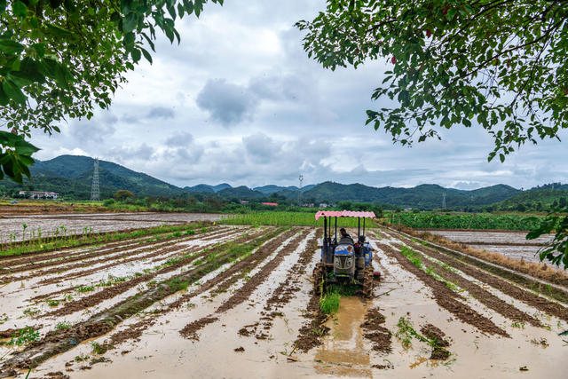 粮食生产  晚稻备耕  农机