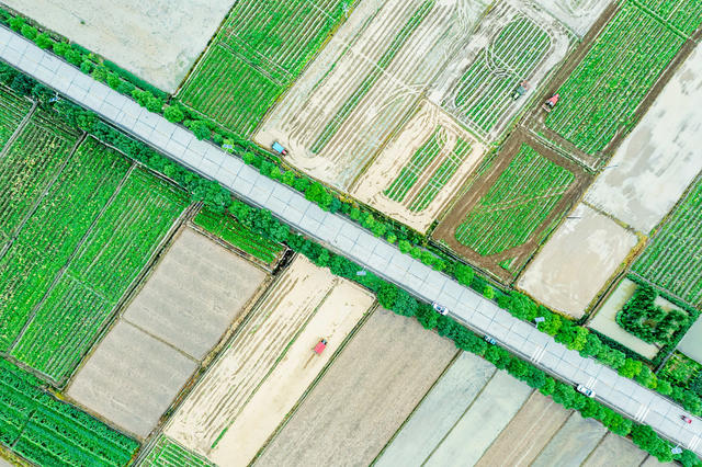 粮食生产  晚稻备耕  农机
