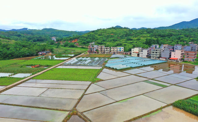 嘉禾：产业兴  乡村美