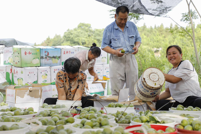 湖南 新田 奈李 丰收