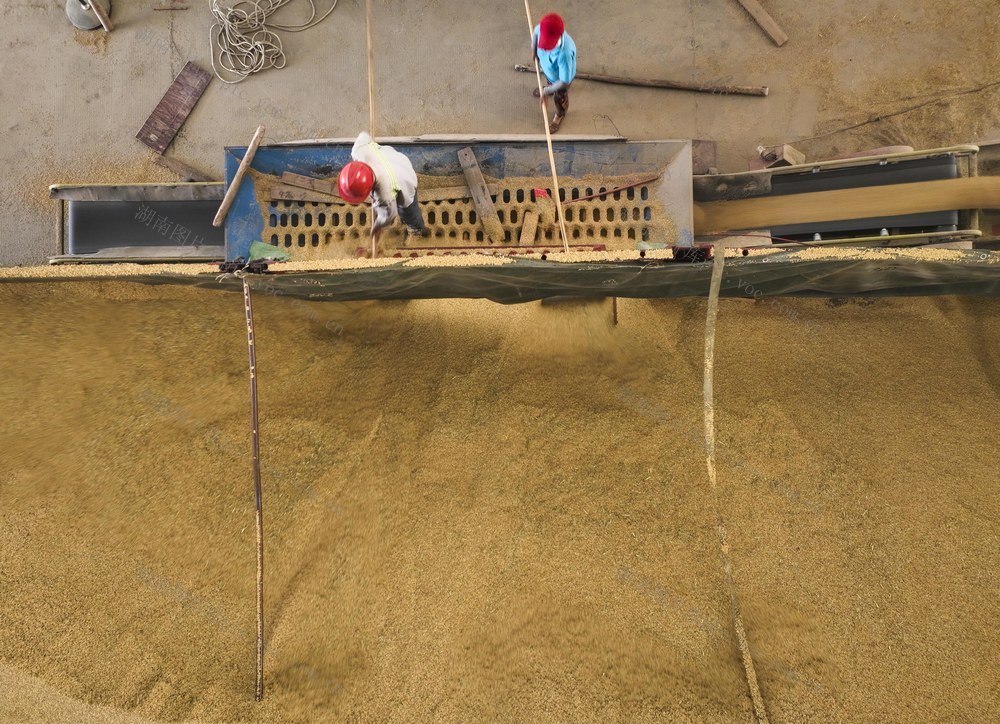 粮食收储
道县
