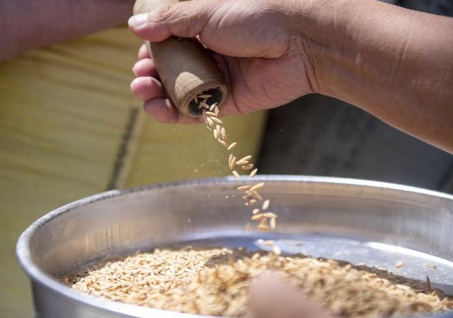 粮食收储
道县
