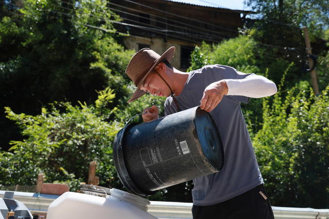 无人机飞防；黄脊竹蝗；