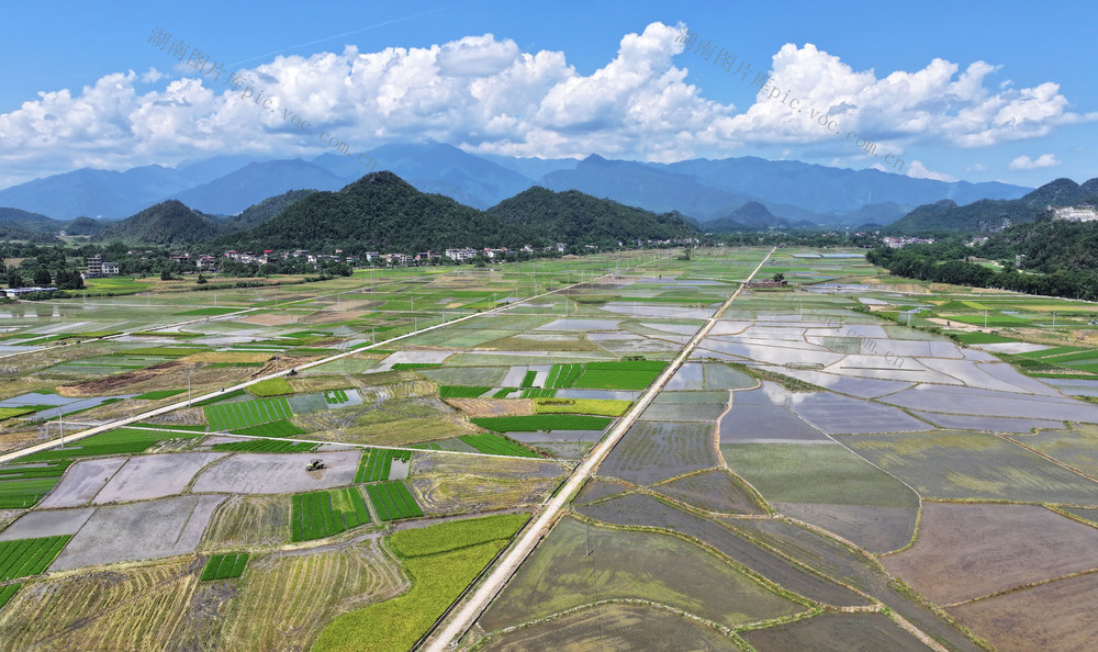 乡村 美景