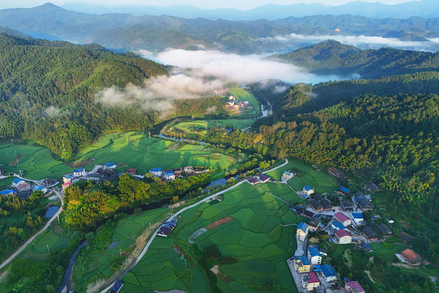 乡村、农村、景色、清晨、生态