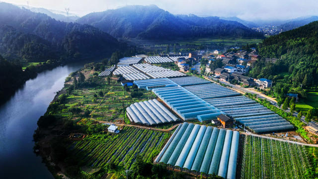 夏日 田园 公路 青山 河流 美丽 乡村 