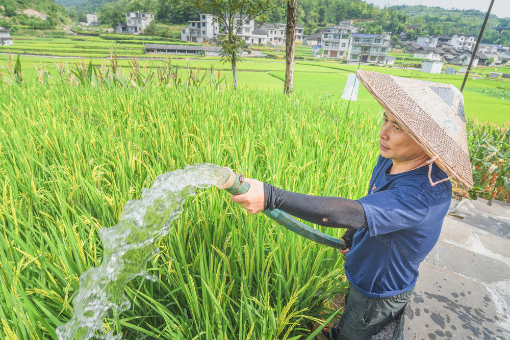 引水抗旱助增收