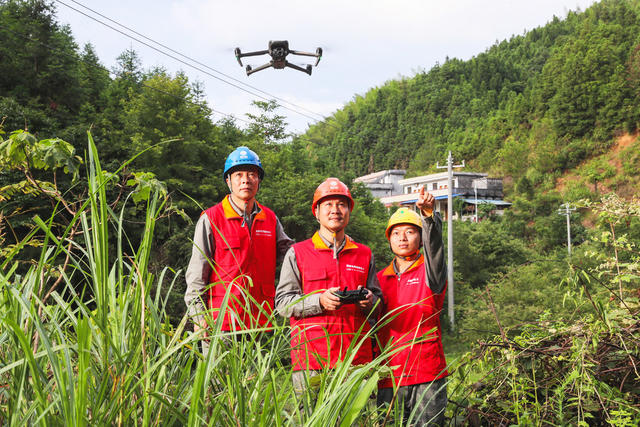 防汛  保电  党员先锋队  退役军人  电力  巡检