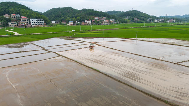 防汛抗灾 农业恢复生产 农事忙