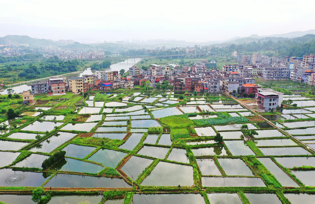 嘉禾：渔业兴  乡村美