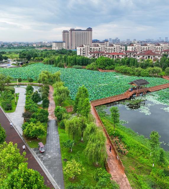 公园
城市
口袋公园
道县