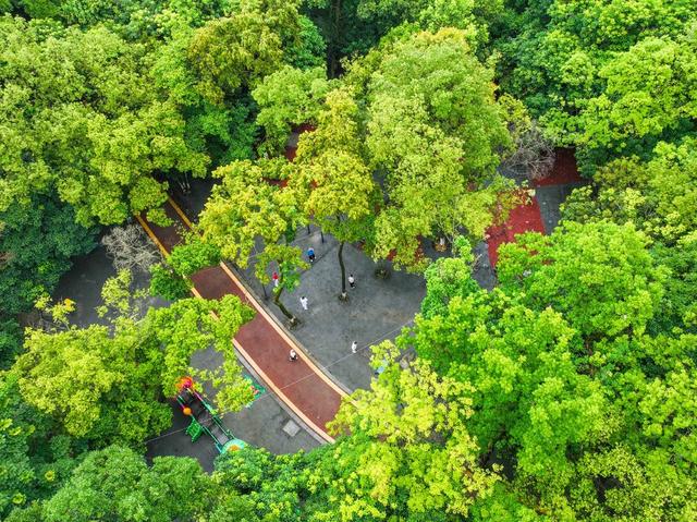 公园
城市
口袋公园
道县