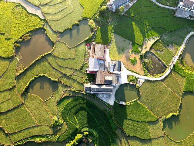 生态  环境  绿水青山 基础设施  乡村  田园