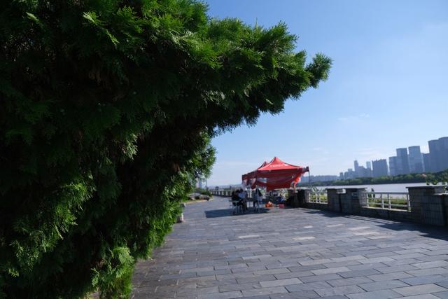 江边，值守，保安全，巡堤查险