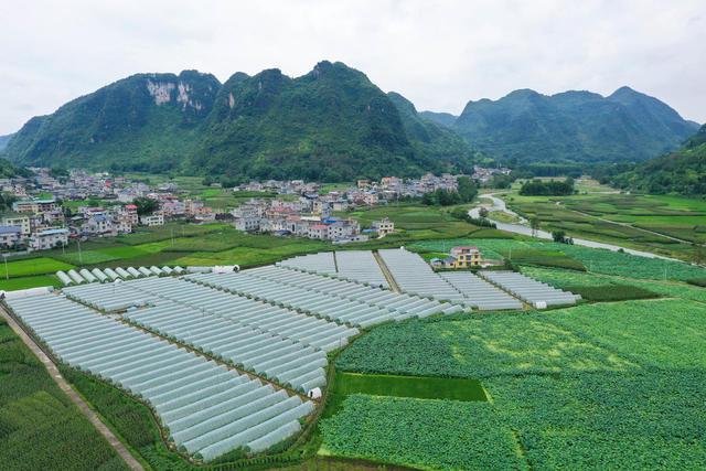 湖南，龙山，产业，乡村，美景，莲藕，水稻，小米，大棚，瓜果，美丽乡村，生态