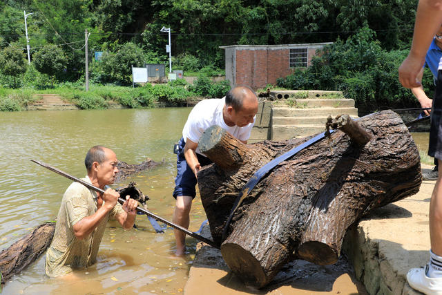湖南邵东  河道  清理  灾后  畅通