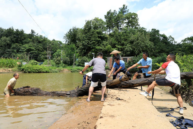 湖南邵东  河道  清理  灾后  畅通