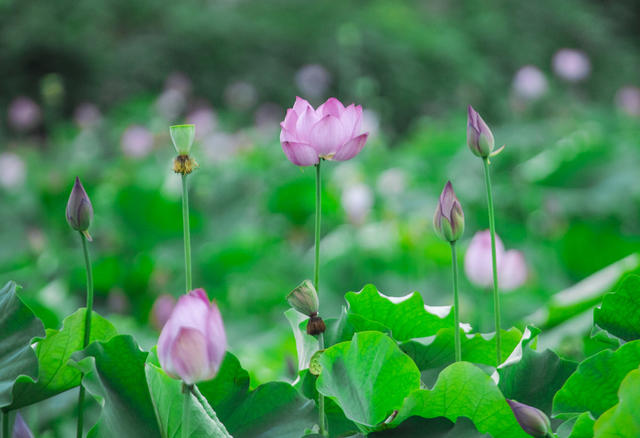 张家界 荷花 法院 帮扶