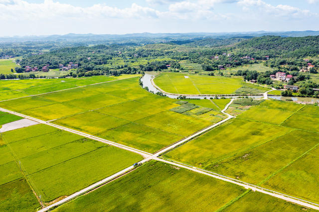 美丽乡村  丰收图景