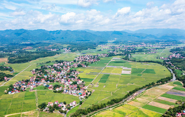 美丽乡村  丰收图景