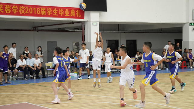 篮球 联赛 学校