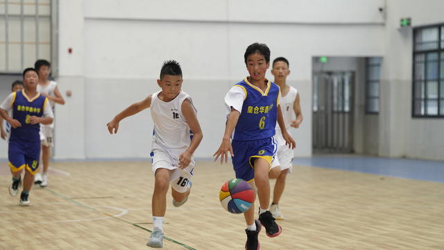 篮球 联赛 学校