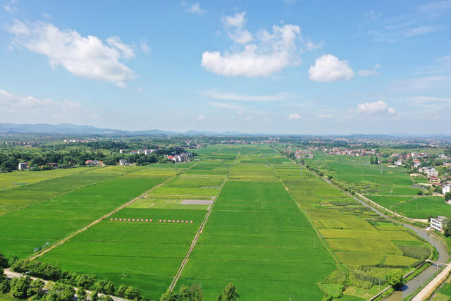 乡村  自然  生态  画卷  田园  风光  
