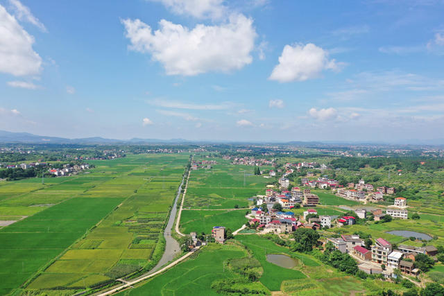 乡村  自然  生态  画卷  田园  风光  