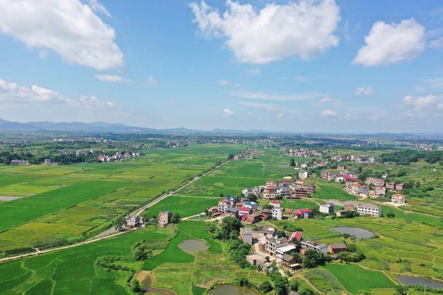 乡村  自然  生态  画卷  田园  风光  