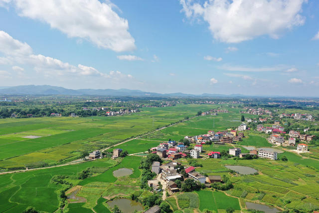 乡村  自然  生态  画卷  田园  风光  