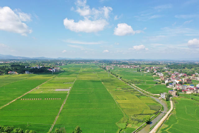 乡村  自然  生态  画卷  田园  风光  