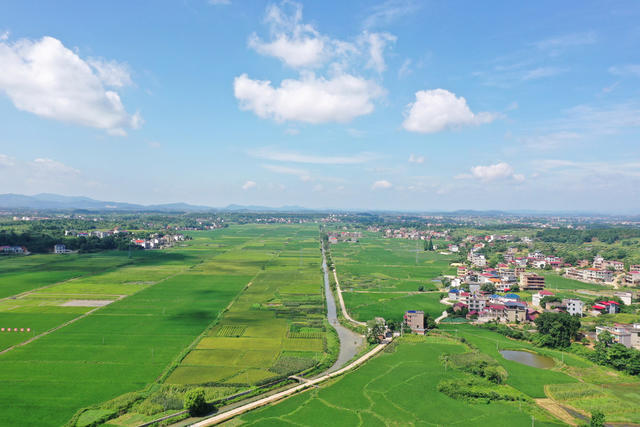 乡村  自然  生态  画卷  田园  风光  