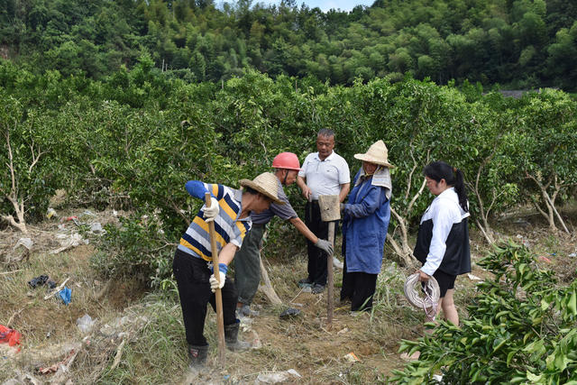 专家指导  生产自救