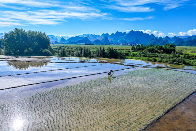 小暑 农事 宁远